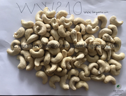 Vietnamese Cashew Nut Kernels 