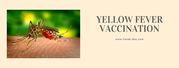 Yellow fever vaccine in Leicester